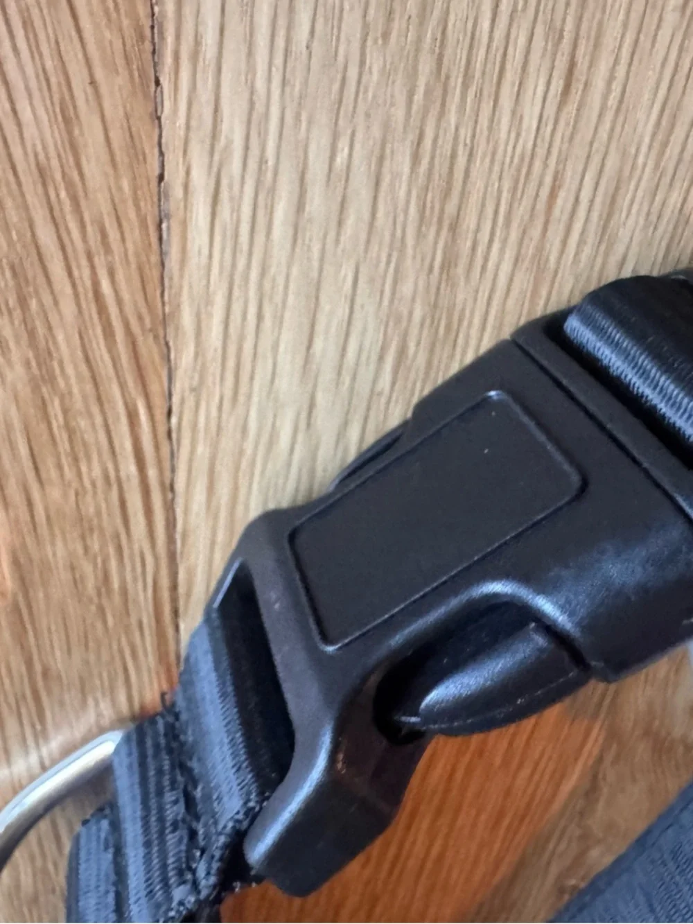 Rechargeable Light Up Black Paw-Print Adjustable Pet Collar with Buckle